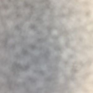 Meet your Posher, Ronald